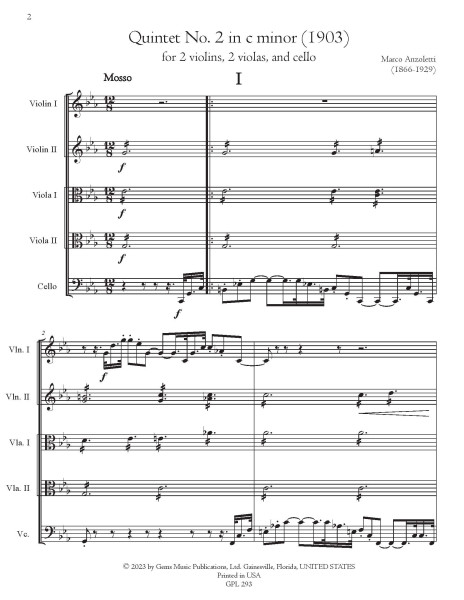 Viola Quintet No. 2 in c minor (1903)